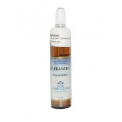 Forza Vitale Italia Fiori...