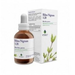 Forza Vitale Italia Psc...