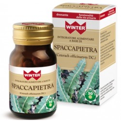 Gdp -general Dietet. Pharma...