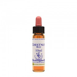 Natur Chestnut Bud Essenza...