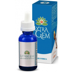 Sarandrea Marco &c....