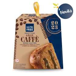 Nt Food Nutrifree Panettone...