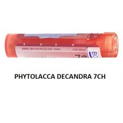 Boiron Phytolacca De Boi 7ch 80gr