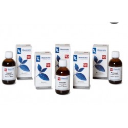 Sarandrea Marco &c. Borsa...