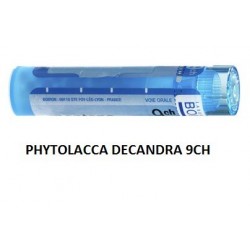 Boiron Phytolacca De Boi 9ch 80gr
