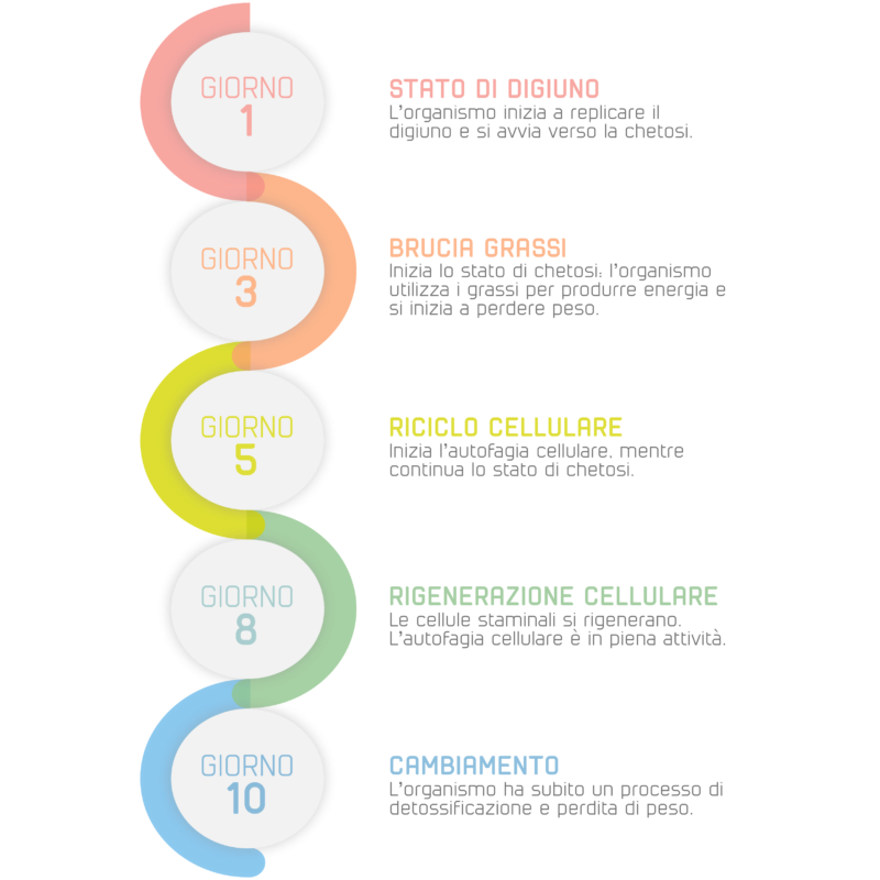 Etapharma Ketovis Box 1 Idrovis 20 Bustine + 1 Aminovis 30 Bustine + 1 Shaker