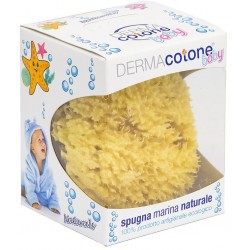 Da. Ma. Distribuzione...