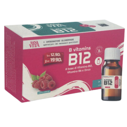 Paladin Pharma Sanavita B Vitamins B12 15 Flaconcini