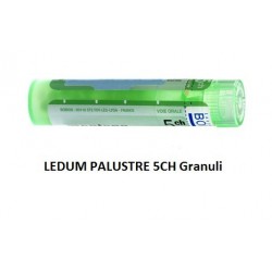 Boiron Ledum Palustre Boi 5ch 80gr 4g