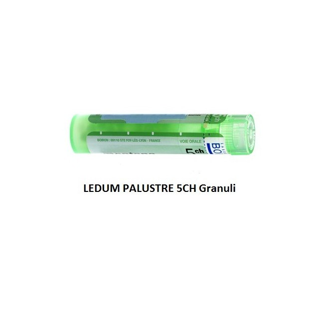 Boiron Ledum Palustre Boi 5ch 80gr 4g