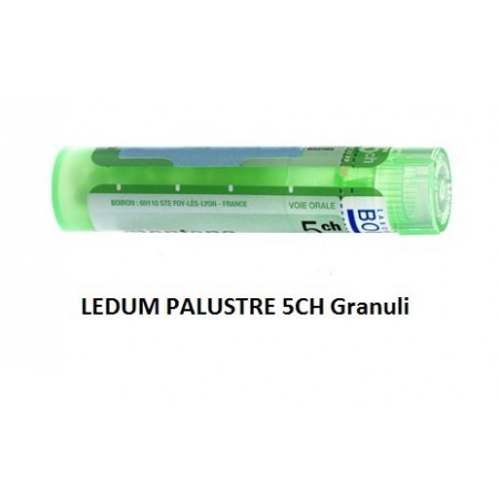 Boiron Ledum Palustre Boi 5ch 80gr 4g