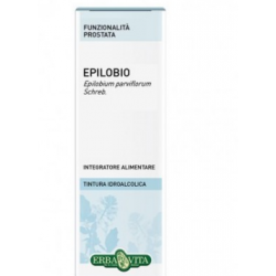 Erba Vita Epilobio Pianta...