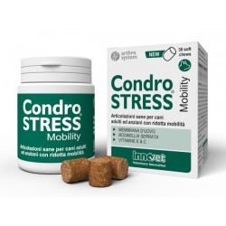 Innovet Condrostress...