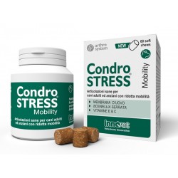 Innovet Condrostress...