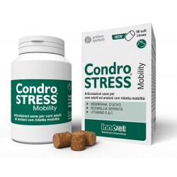 Innovet Condrostress...