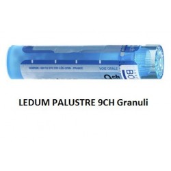 Boiron Ledum Palustre Boi 9ch 80gr 4g