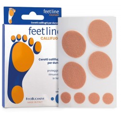 Fitobucaneve Cerotti...