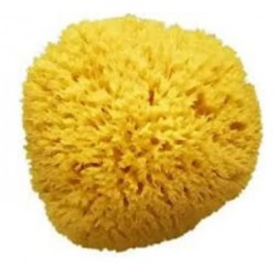 Farmacon Amidosan Spugna Di...