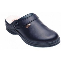 Scholl New Bonus Unpunched...