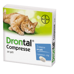 2 Compresse Drontal Per Gatti