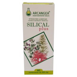 Arcangea Silical Plus 60...