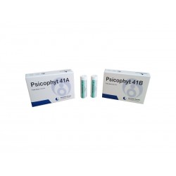 Biogroup Psicophyt Remedy 41b 4 Tubi 1,2g