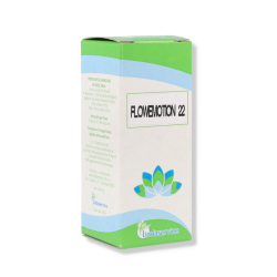 Lindaservice Flowemotion 22...