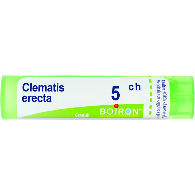 Boiron Clematis Erec Boi 5ch Gr 4g