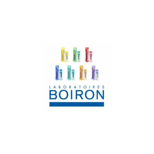 Boiron Plumbum Met 5ch Gr 4g