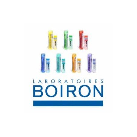 Boiron Plumbum Met 5ch Gr 4g