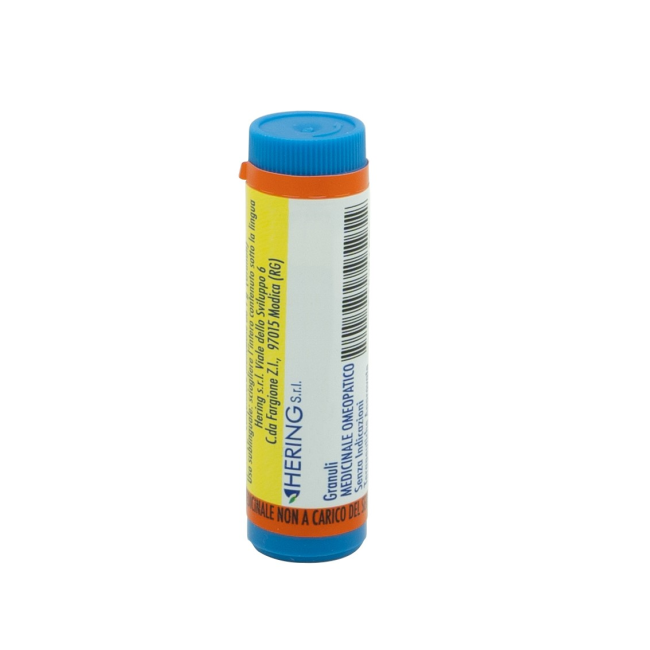 Hering Hepar Sulfur 10000k Gl 1g