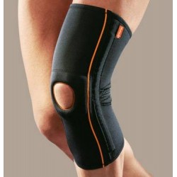 Ro+ten Ginocchiera Con...