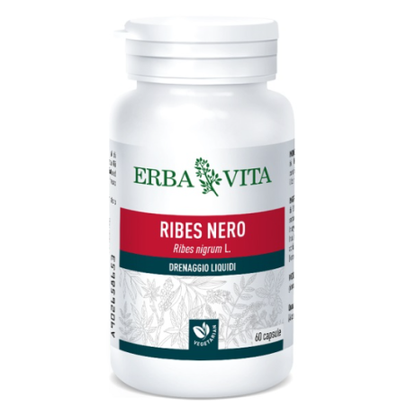 Erba Vita Ribes Nero 60 Capsule 450 Mg