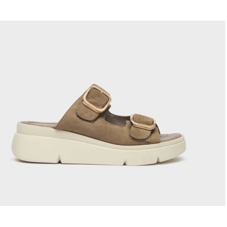 Scholl Calzatura Bali Buckle Suede W Brick 37