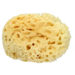 Bm Farmaceutici Spugna Mare...