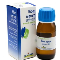 Boiron Ribes Nigranulium...