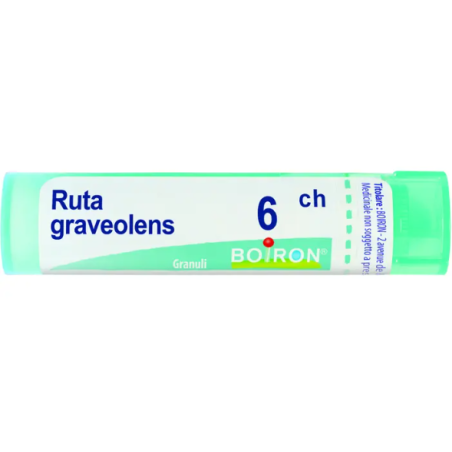 Boiron Ruta Grav Boi 6ch 80gr 4g