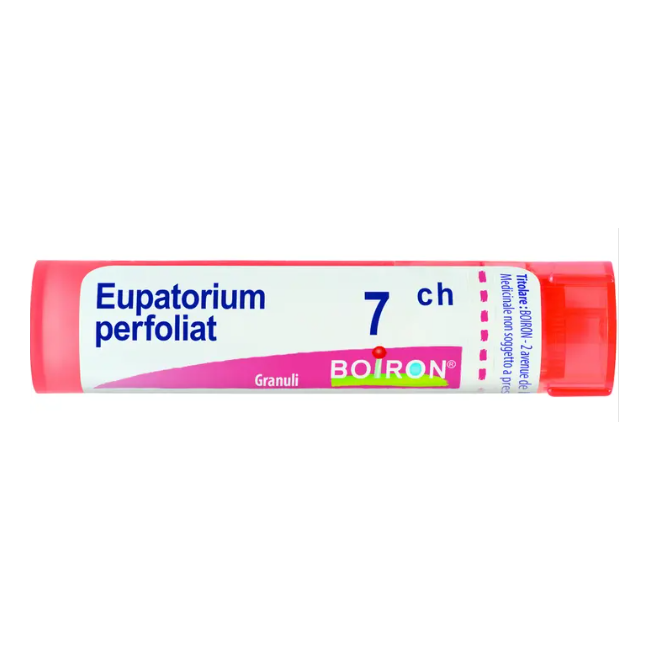 Boiron Eupatorium P Boi 7ch80gr