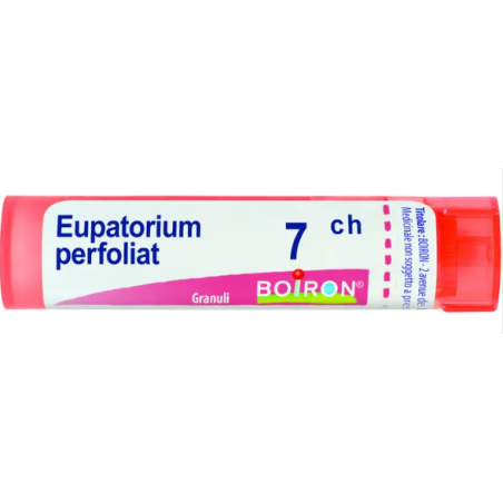 Boiron Eupatorium P Boi 7ch80gr