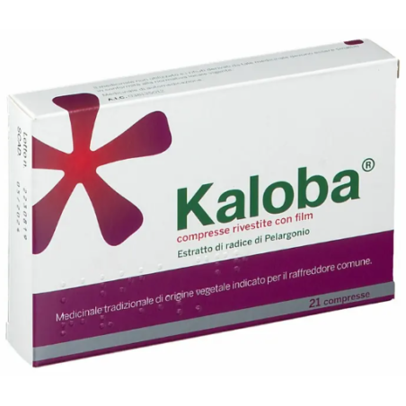 Dr. Willmar Schwabe Gmbh&co. Kg Kaloba 21 Compresse Rivestite Con Film Estratto Di Radice Di Pelargonio