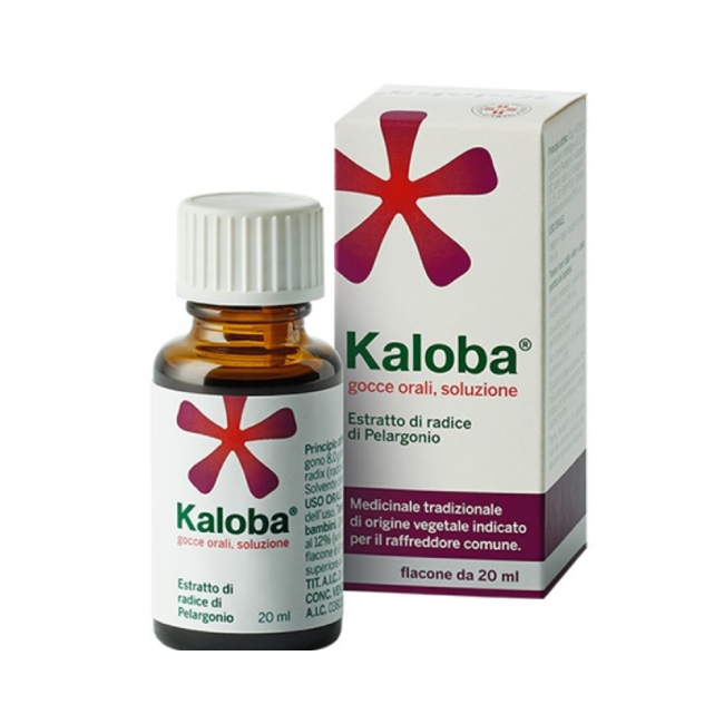 Dr. Willmar Schwabe Gmbh&co. Kg Kaloba Gocce Orali, Soluzione Estratto Di Radice Di Pelargonio