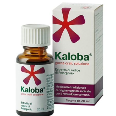 Dr. Willmar Schwabe Gmbh&co. Kg Kaloba Gocce Orali, Soluzione Estratto Di Radice Di Pelargonio