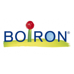 Boiron Spigelia Anth Boi 15ch 80gr4g