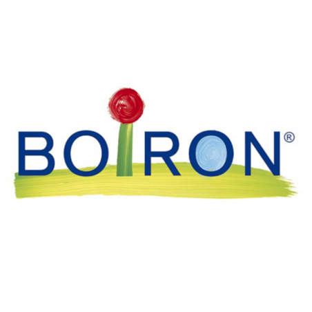 Boiron Spigelia Anth Boi 15ch 80gr4g