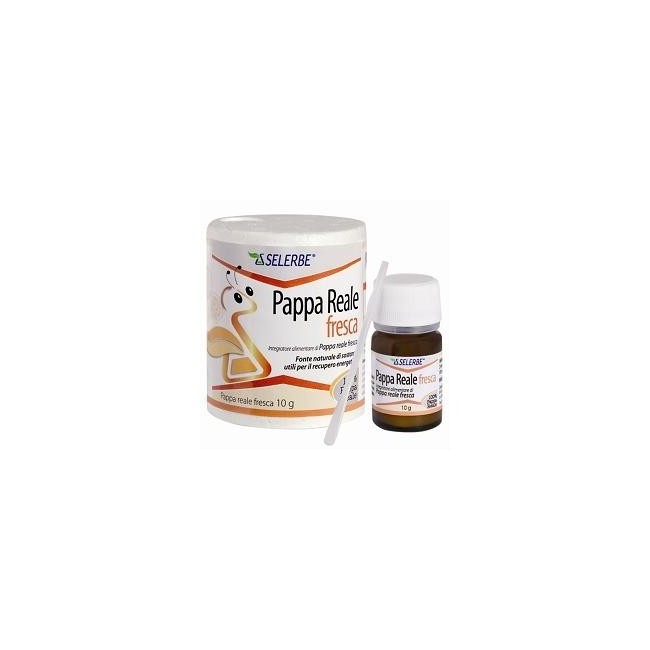 Selerbe Pappa Reale Fresca 10 G