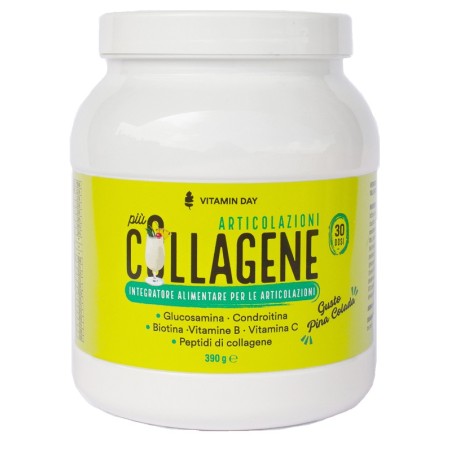 Lysi Vitamin Day Collagene Articolazioni 390 G