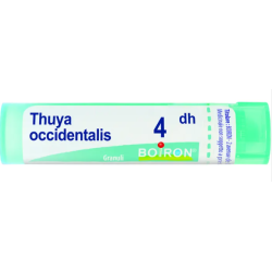 Boiron Thuya Occ 4dh Gr 4g