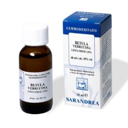 Sarandrea Betula Verrucosa...