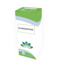 Lindaservice Flowemotion 05...