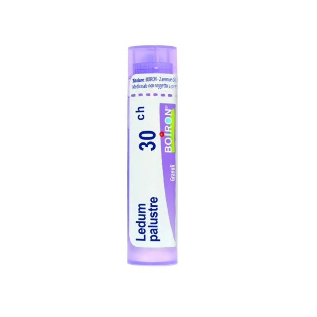 Boiron Ledum Palustre Boi 30ch 80gr4g